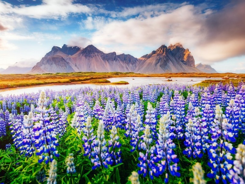 Teljes a nyári paletta