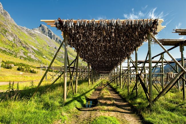 Repülj és vezess! - A Lofoten-szigetek