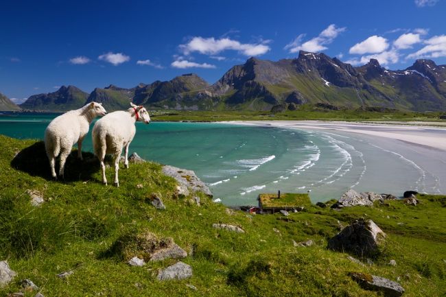 Repülj és vezess! - A Lofoten-szigetek