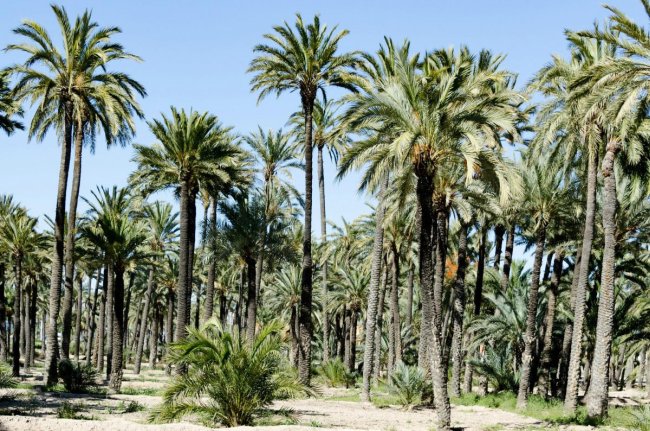 Repülj és vezess! — Alicante, Valencia és Costa Blanca