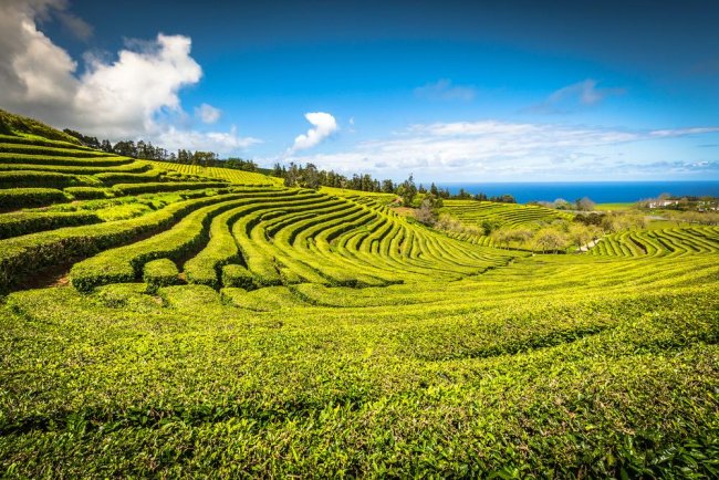 Azori-szigetek, São Miguel sziget - egyhetes üdülés