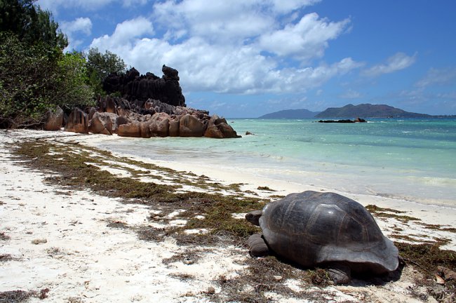 Seychelle-szigetek, Le Domaine de l'Orangerie****, La Digue
