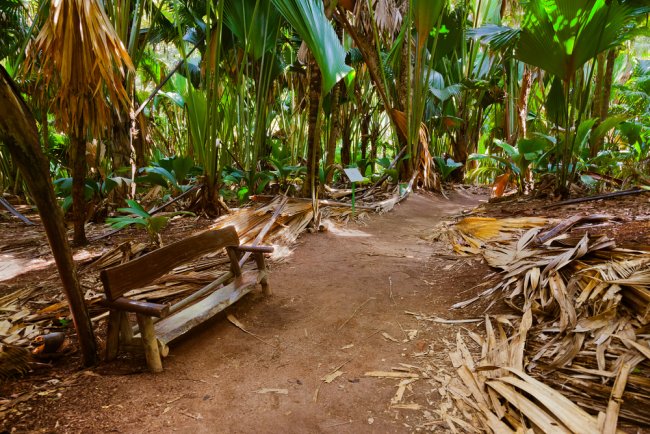 Seychelle-szigetek, Le Domaine de l'Orangerie****, La Digue