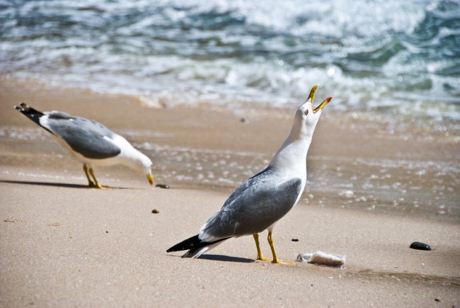 Lisszaboni egyéni városlátogatás tengerparti nyaralással Algarve-ban
