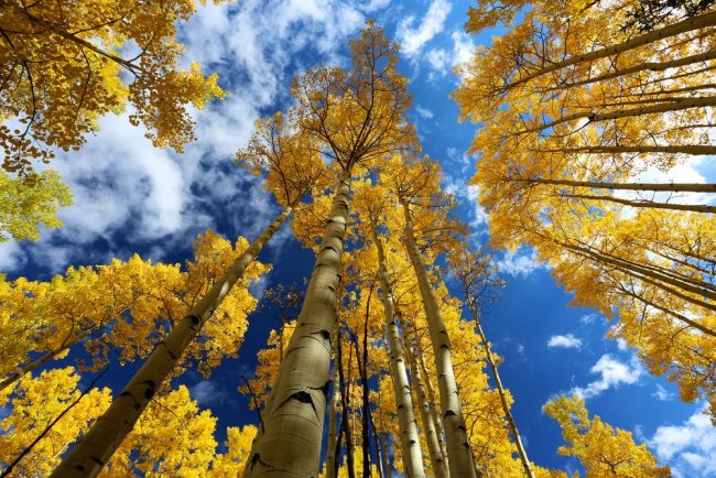Repülj és vezess! — Colorado nemzeti parkjai
