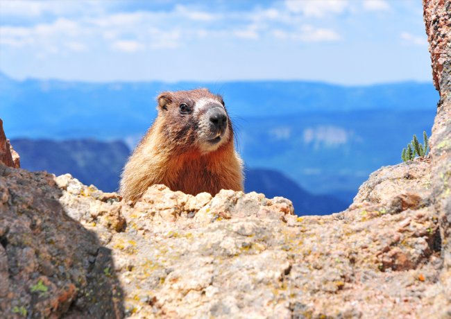 Repülj és vezess! — Colorado nemzeti parkjai