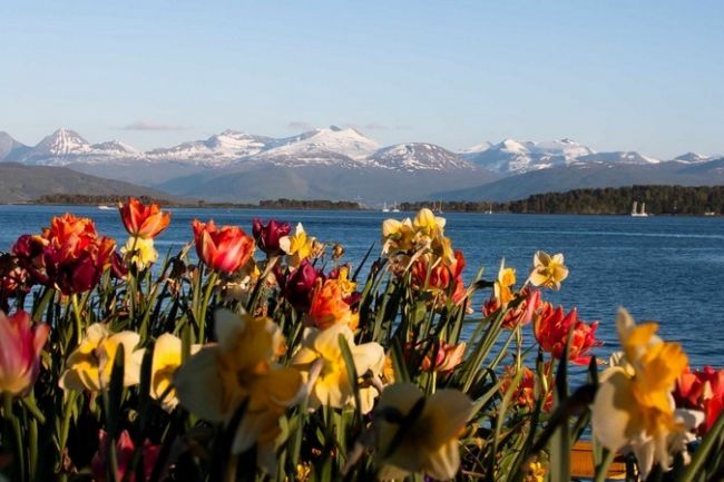 Norvég fjordok Hurtigruten hajóval: Bergen-Kirkenes