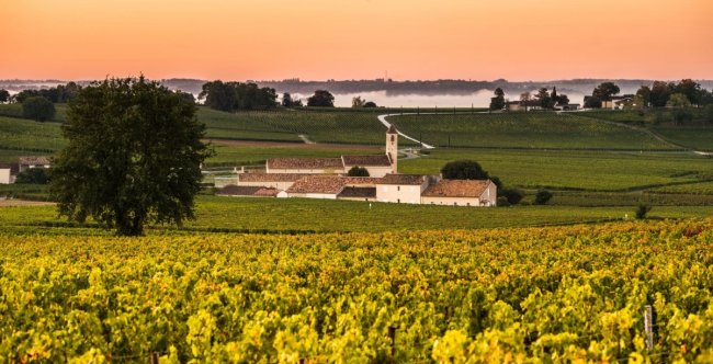 Bordeaux - gasztronómiai és kulturális csoportos utazás az október 23-i hosszú hétvégén 2017.10.20-23.