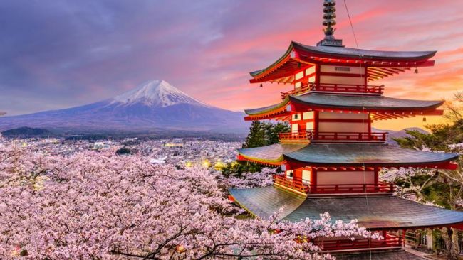 Sakura – japán körutazás cseresznyevirágzáskor - magyar idegenvezetéssel 4 időpontban