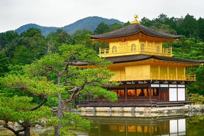 Sakura – japán körutazás cseresznyevirágzáskor - magyar idegenvezetéssel 4 időpontban