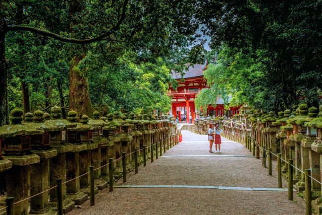 Sakura – japán körutazás cseresznyevirágzáskor - magyar idegenvezetéssel 4 időpontban