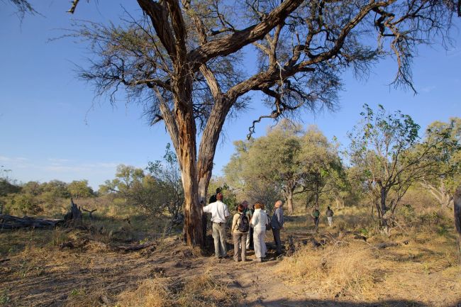 Botswana és a Viktória-vízesés 