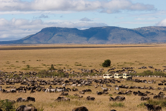 Egyéni vadles Tanzániában - Serengeti, Ngorongoro-kráter és a Manyara-tó