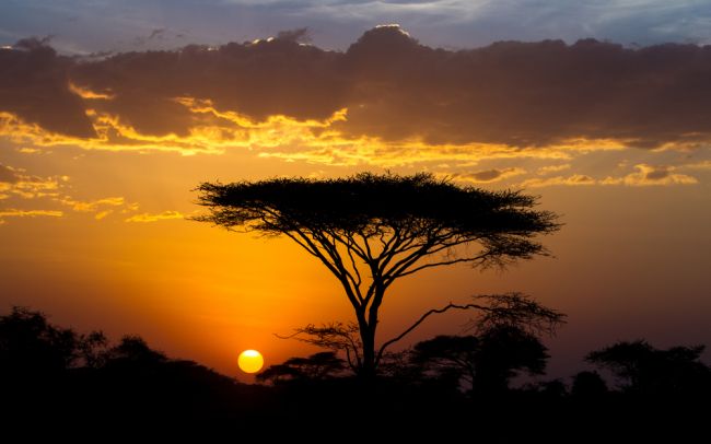 Egyéni vadles Tanzániában - Serengeti, Ngorongoro-kráter és a Manyara-tó