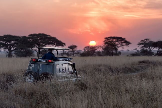 Egyéni vadles Tanzániában - Serengeti, Ngorongoro-kráter és a Manyara-tó