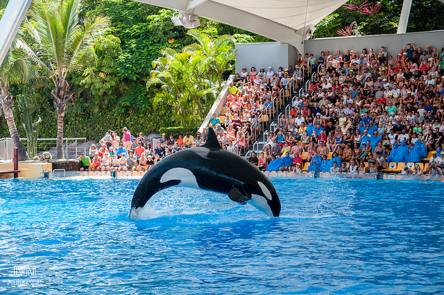 Loro park