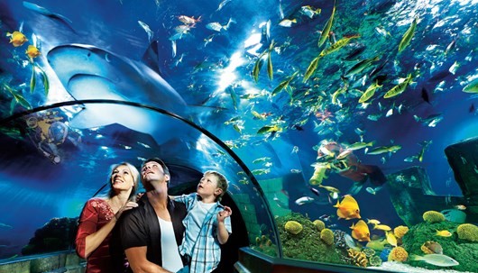 Legoland - Atilantis by sea life