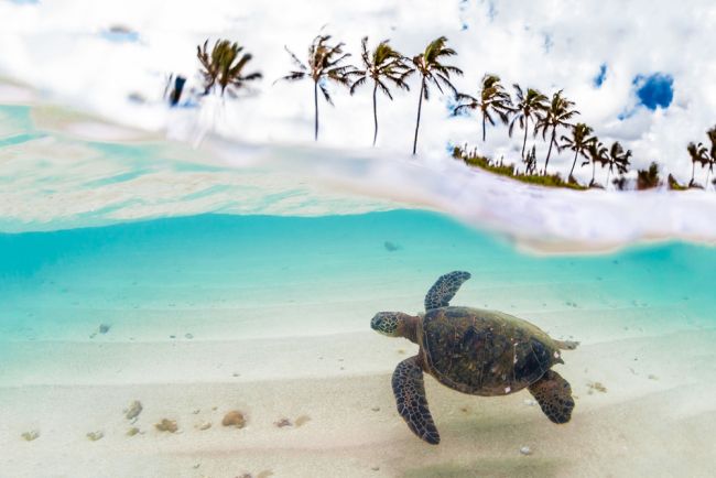 Hawaii-tól Francia Polinéziáig -  csoportos hajóút magyar idegenvezetővel 2020.10.21.-11.09.