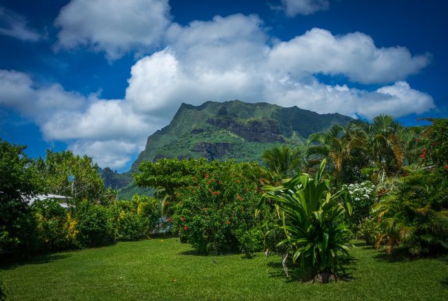 Hawaii-tól Francia Polinéziáig -  csoportos hajóút magyar idegenvezetővel 2020.10.21.-11.09.