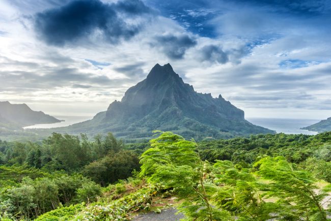 Hawaii-tól Francia Polinéziáig -  csoportos hajóút magyar idegenvezetővel 2020.10.21.-11.09.