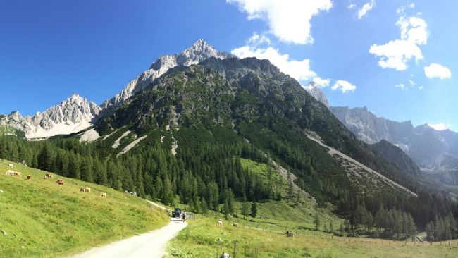 Bachlalm madártávlatból