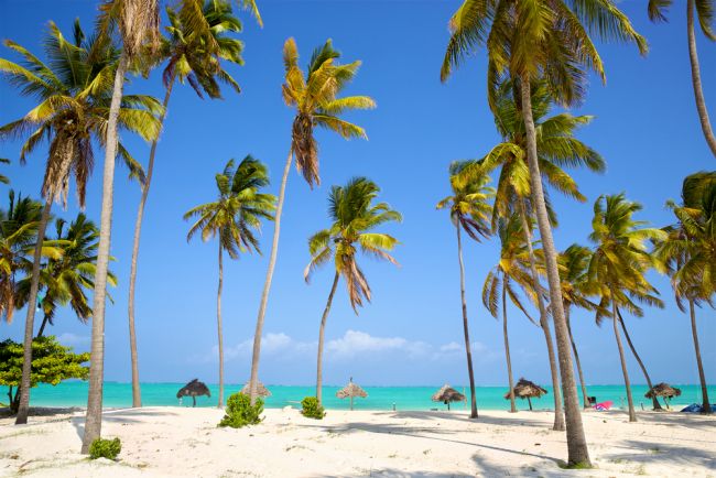 Zanzibár korallhomokos tengerpartja