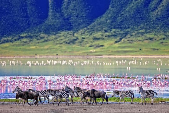 Ngorongoro-kráter