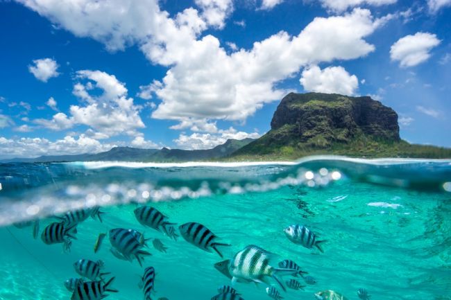 Víz alatti világ - Mauritius