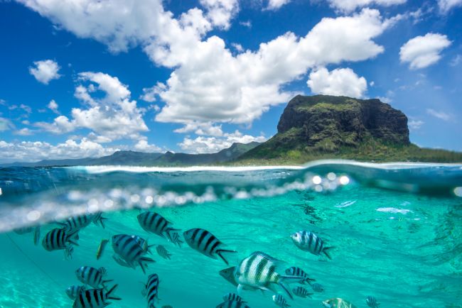 Mauritius víz alatti élővilága