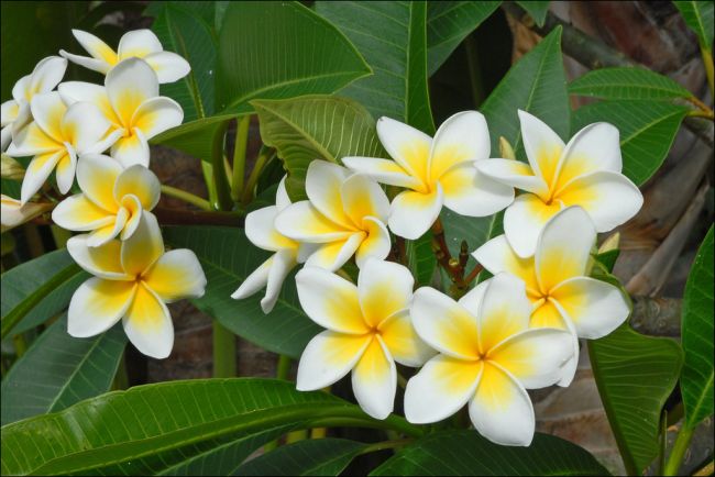 Réunion