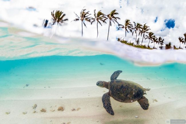 Hawaii, kalandok a Csendes-óceán édenkertjében – csoportos körutazás  2022. 01.25.-02.07. 