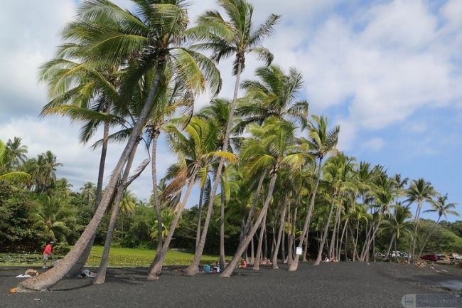 Punalu’u Beach fekete lávahomokja