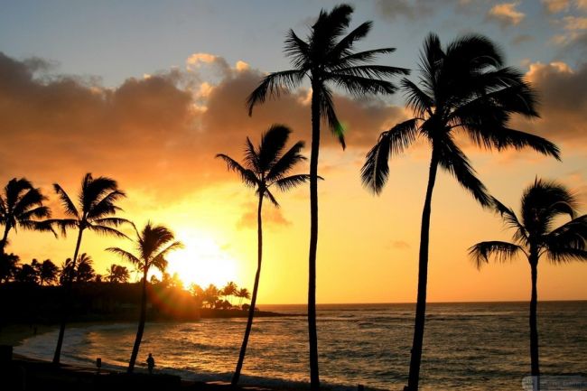 Hawaii, kalandok a Csendes-óceán édenkertjében – csoportos körutazás  2022. 01.25.-02.07. 