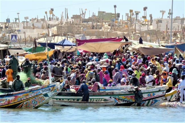 Gambia és Szenegál csoportos utazás magyar idegenvezetéssel – 2024.02.04-11.