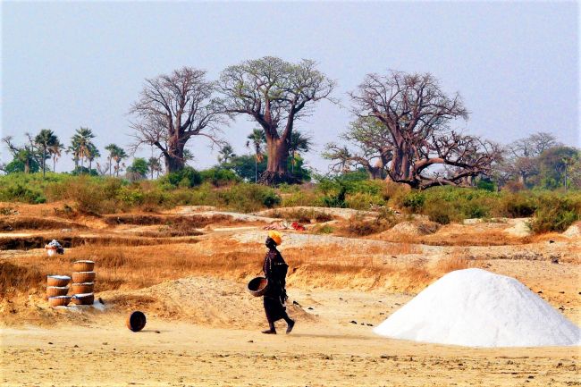 Gambia és Szenegál csoportos utazás magyar idegenvezetéssel – 2024.02.04-11.