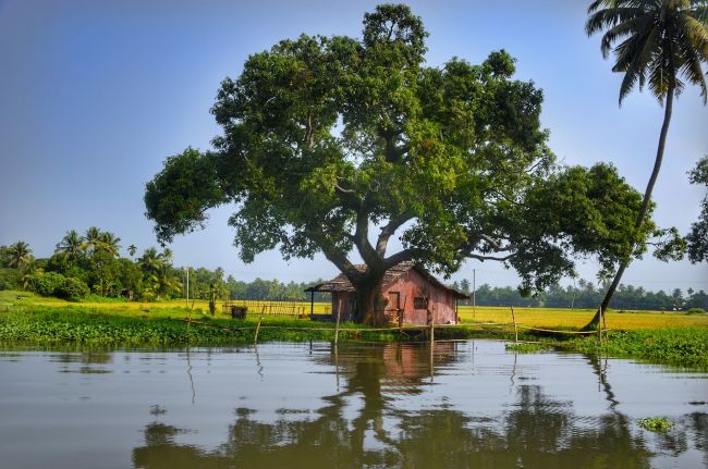 Alleppey