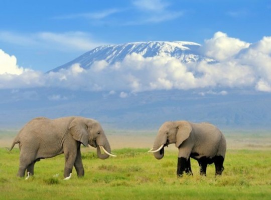 A Kilimandzsáró árnyékában - szafari és pihenés Kenyában magyar idegenvezetővel 2024.01.21-31. Csoportos utazások, Téli csoportos utak, Csoportos felfedezőutak, Csoportos egzotikus utak, Különleges ajánlatok, Felfedezőutak, Téli egzotikus utak, Afrika, Kenya