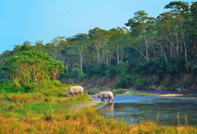 A Chitwan Nemzeti Parkban