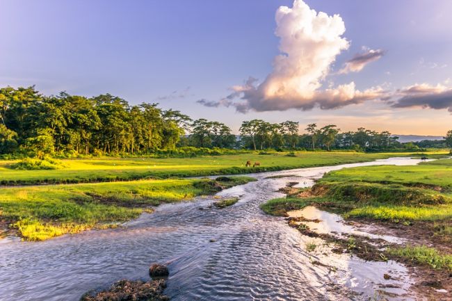 A Chitwan Nemzeti Parkban