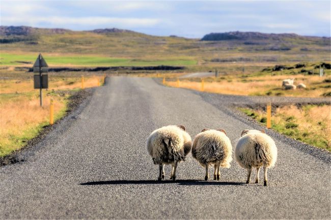 Izlandi csillagtúra a gejzírek és vulkánok szigetén a tavaszi szünetben 2024.04.01-06.
