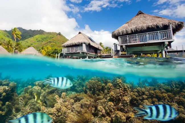 Hawaii-tól Francia Polinéziáig -  csoportos hajóút magyar idegenvezetővel 2024.10.21.-11.09.