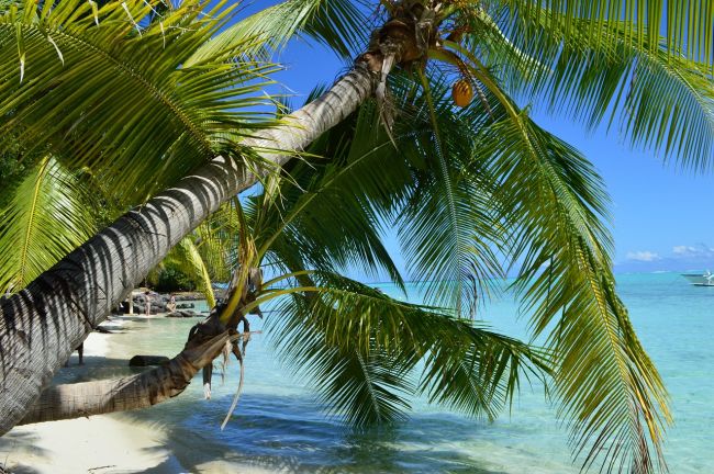 Hawaii-tól Francia Polinéziáig -  csoportos hajóút magyar idegenvezetővel 2024.10.21.-11.09.