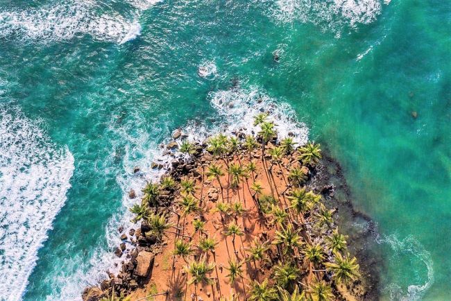Coconut Tree Hill