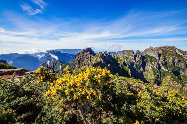 Madeira hegycsúcsai