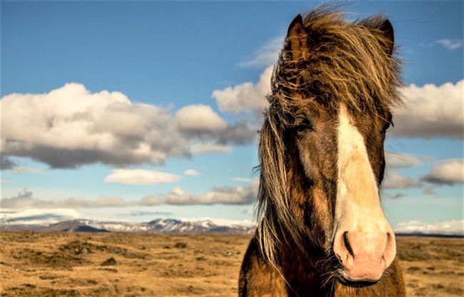 Nagy izlandi körutazás – csoportos utazás magyar idegenvezetéssel 2025.07.08-15.