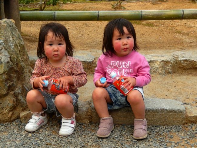 A japán tavasz ünnepe - csoportos nagykörút magyar idegenvezetéssel 2026.03.12-24.