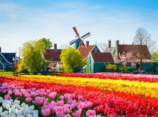 A tulipánok és szélmalmok földjén - csoportos utazás Hollandiába magyar idegenvezetéssel 2026.04.16-19. Csoportos utazások, Tavaszi csoportos utak, Nyugat-Európa, Hollandia