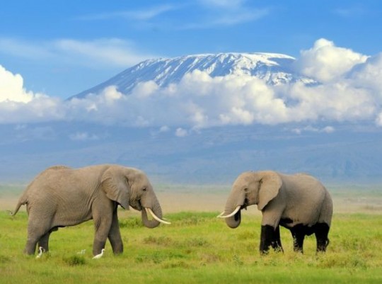 A Kilimandzsáró árnyékában - szafari és pihenés Kenyában magyar idegenvezetővel 2026.01.20-31. Csoportos utazások, Téli csoportos utak, Csoportos felfedezőutak, Csoportos egzotikus utak, Különleges ajánlatok, Felfedezőutak, Afrika, Kenya