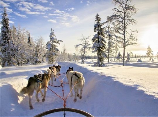 Téli kalandok finn Lappföldön - csoportos utazás magyar idegenvezetéssel - 2026.01.15-18. Csoportos utazások, Téli csoportos utak, Csoportos hosszú hétvégék, Skandináv utak, Különleges ajánlatok, Gyerekbarát utak, Észak-Európa, Finnország, , , , , 