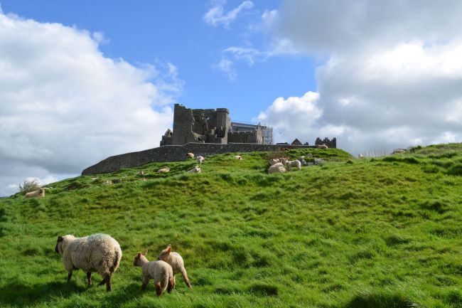 Rock of Cashel